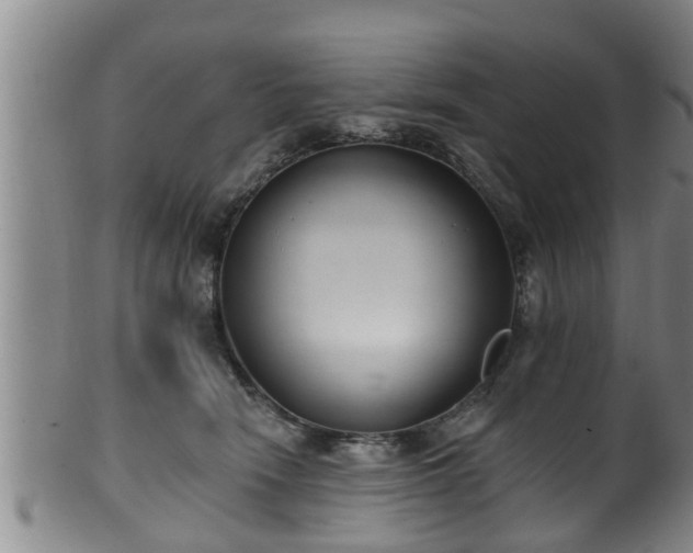 X0000100870466200806271117