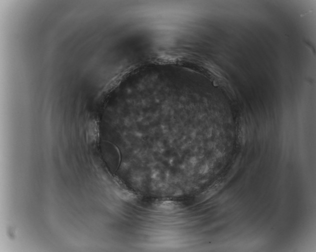 X0000100870467200806271117