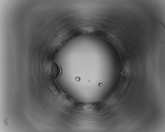 X0000100870468200806271117