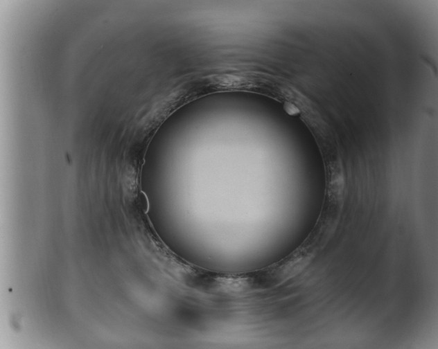 X0000100870469200806271117