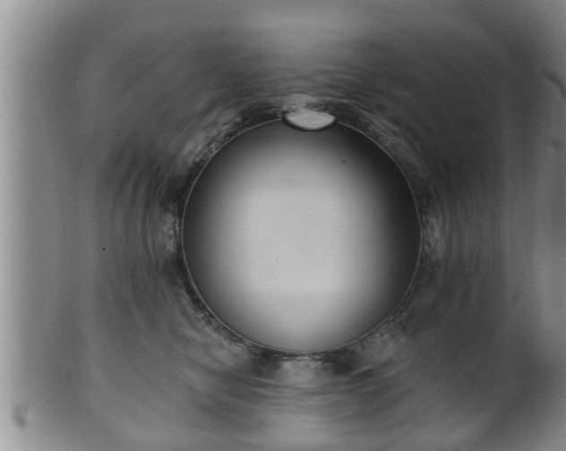 X0000100870470200806271117