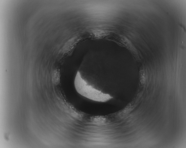 X0000100870471200806271117