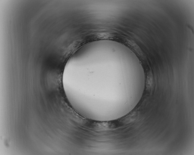 X0000100870473200806271117