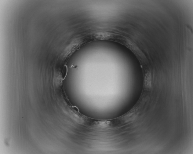 X0000100870474200806271117