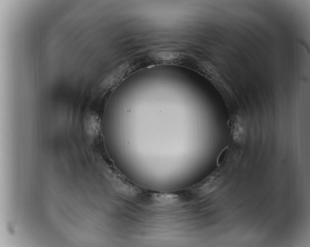 X0000100870476200806271117