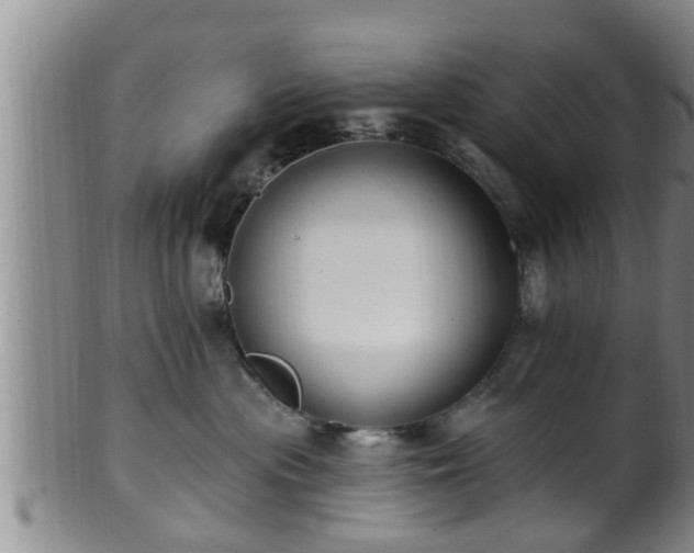 X0000100870477200806271117