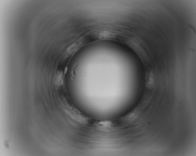 X0000100870478200806271117