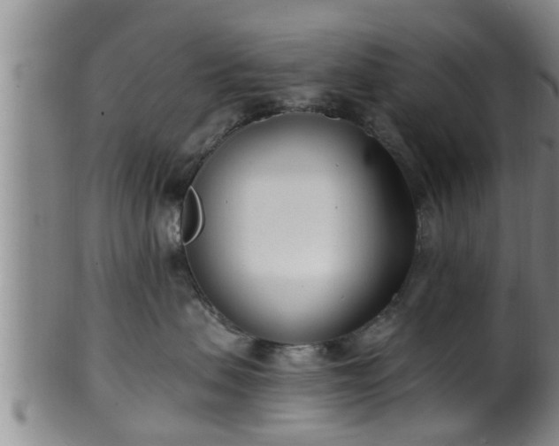 X0000100870479200806271117