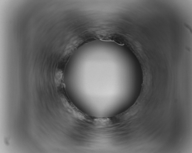 X0000100870480200806271117