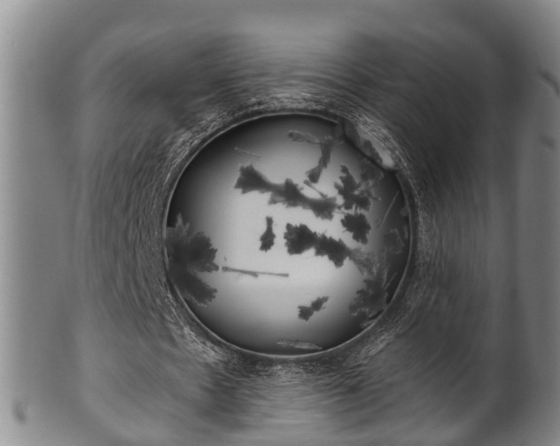 X0000100870481200806271117