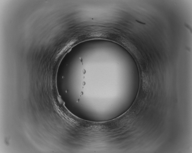 X0000100870482200806271117