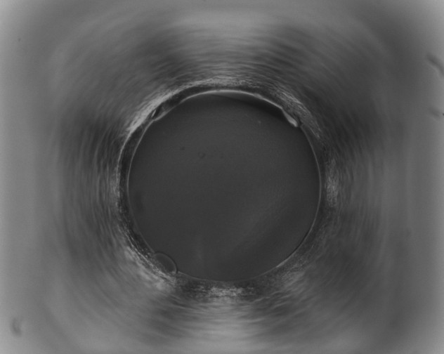 X0000100870484200806271117