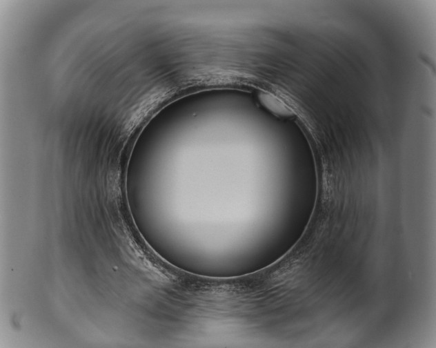 X0000100870485200806271117