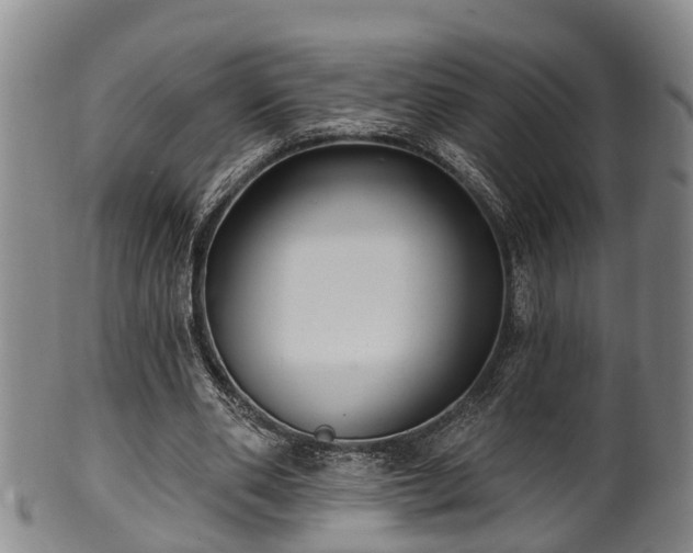 X0000100870486200806271117