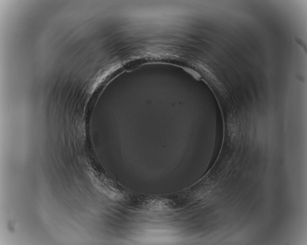 X0000100870488200806271117