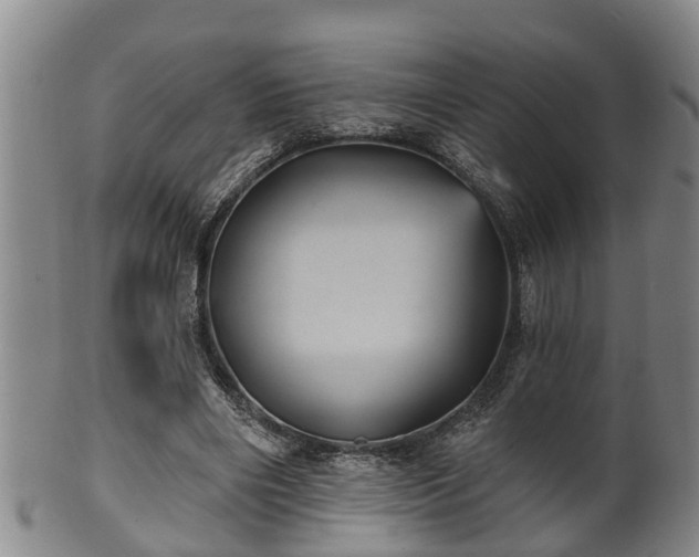 X0000100870490200806271116