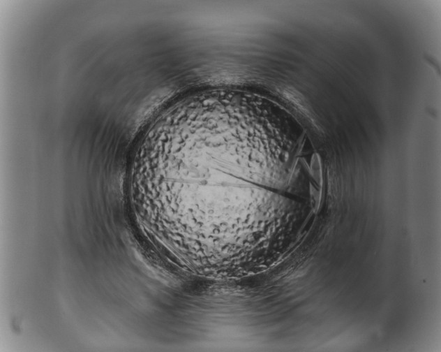 X0000100870491200806271116