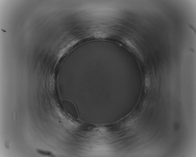 X0000100870492200806271116