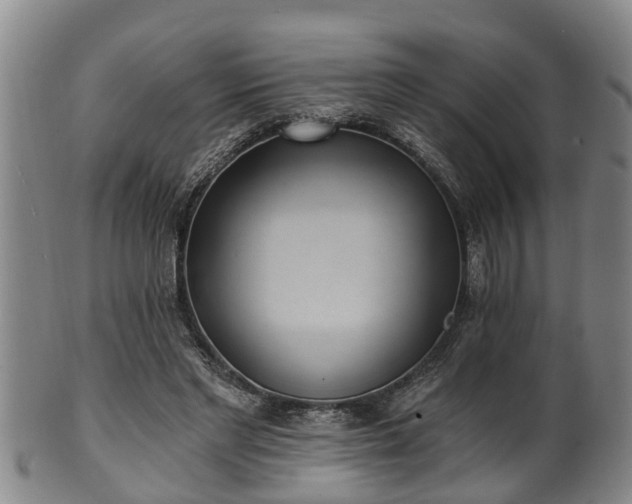 X0000100870493200806271116