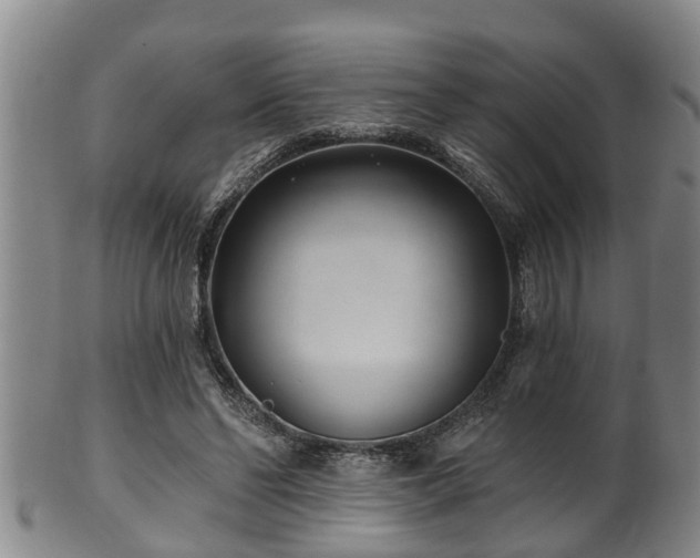 X0000100870494200806271116