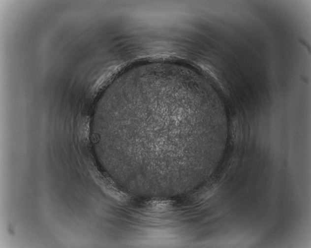 X0000100870495200806271116