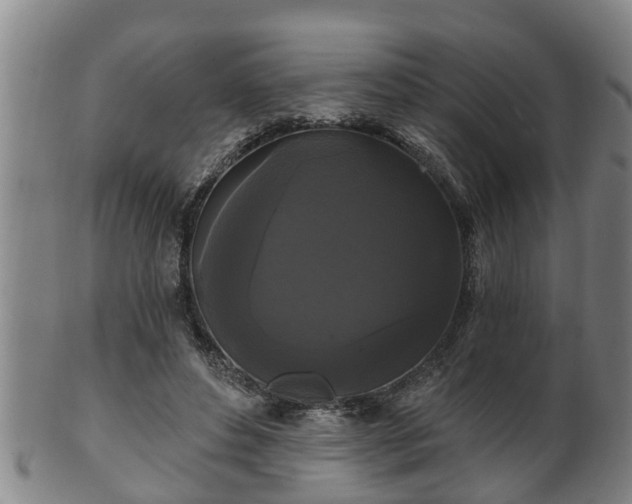 X0000100870496200806271116