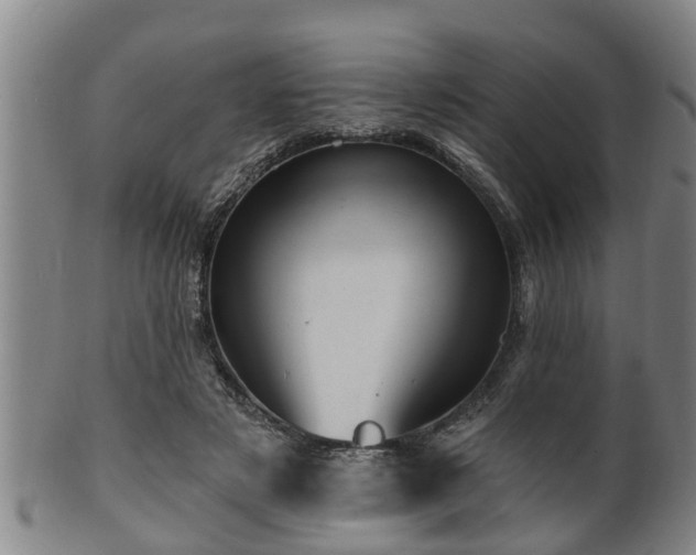 X0000100870497200806271116