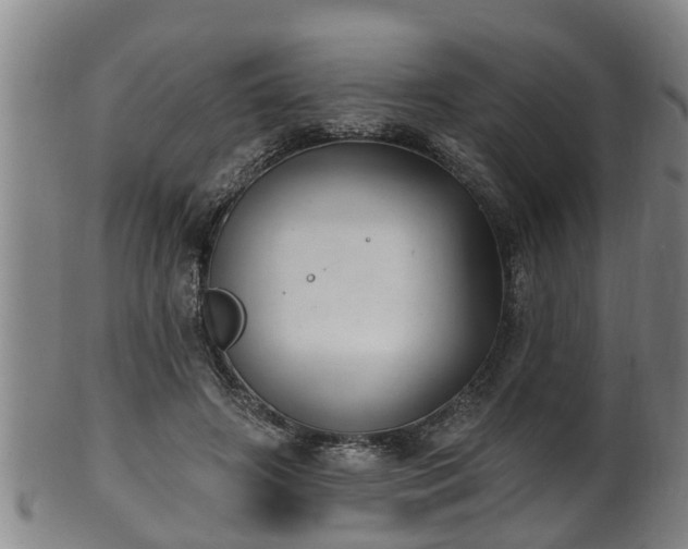 X0000100870498200806271116