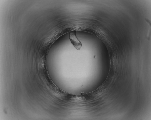 X0000100870499200806271116