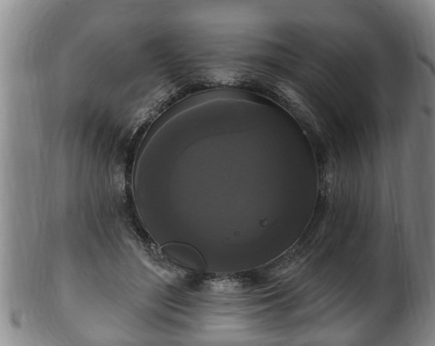 X0000100870500200806271116