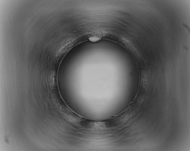 X0000100870501200806271116