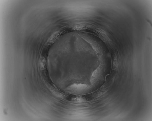 X0000100870503200806271116