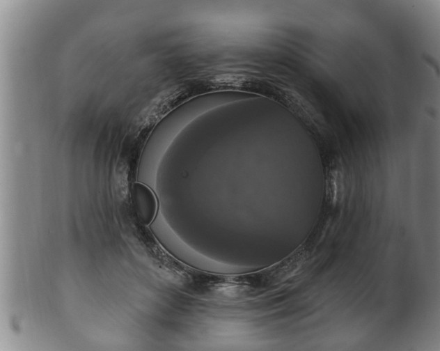 X0000100870504200806271116