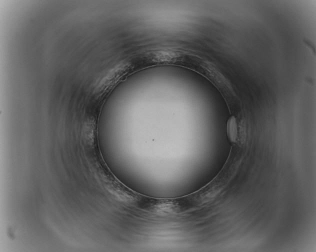 X0000100870505200806271116