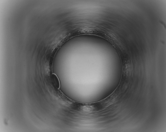 X0000100870508200806271116