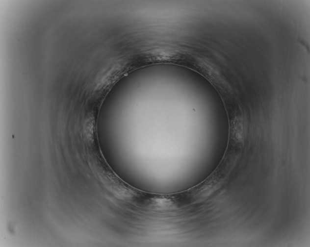 X0000100870509200806271116