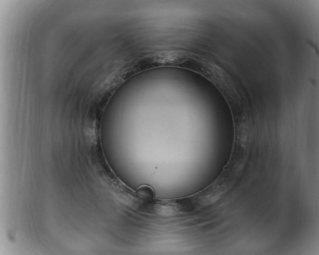 X0000100870510200806271116