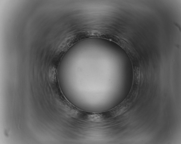 X0000100870511200806271116