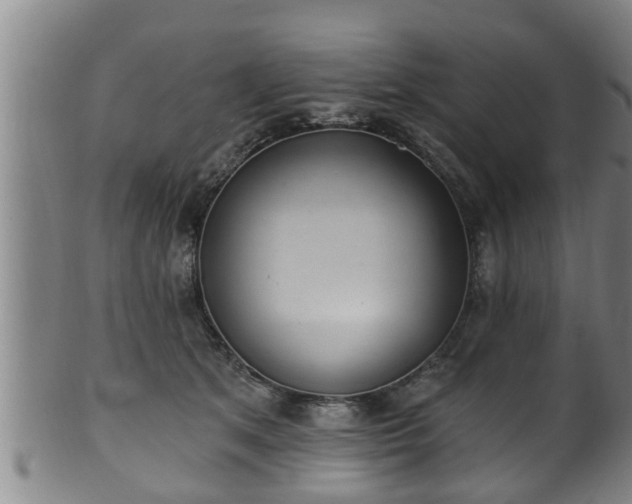 X0000100870513200806271116