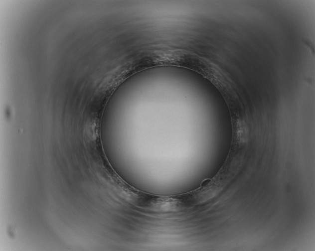 X0000100870514200806271116