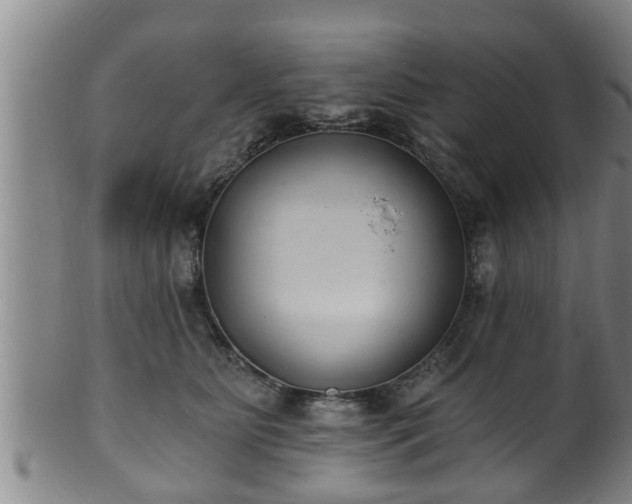 X0000100870515200806271116