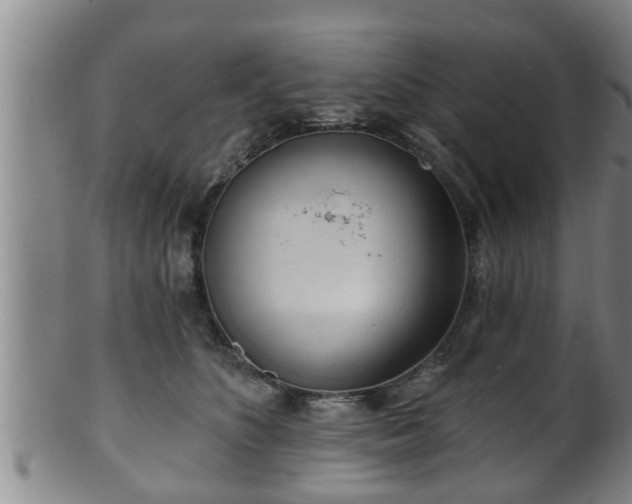 X0000100870516200806271116