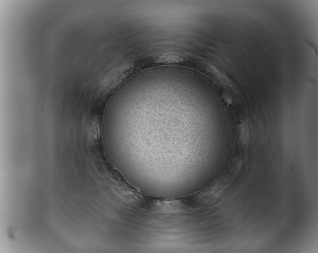 X0000100870517200806271116