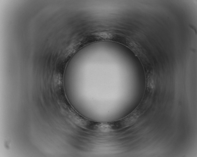 X0000100870518200806271116