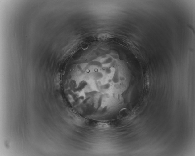 X0000100870519200806271116