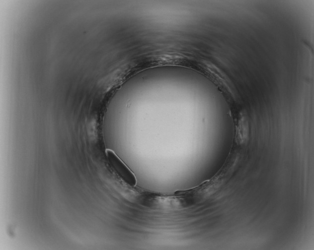 X0000100870520200806271116