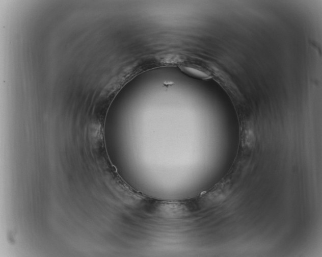 X0000100870521200806271116