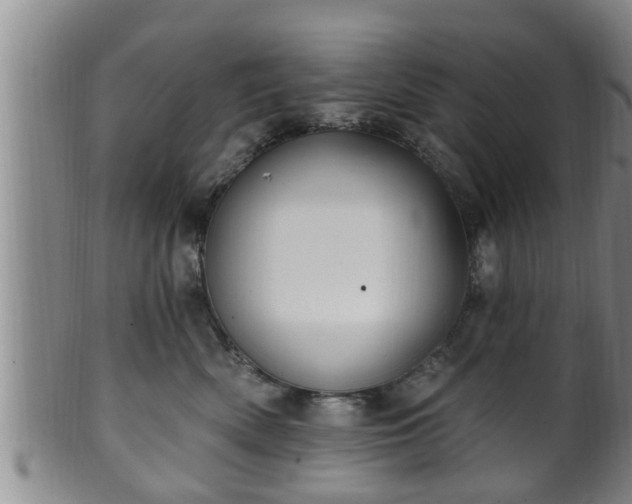 X0000100870522200806271116