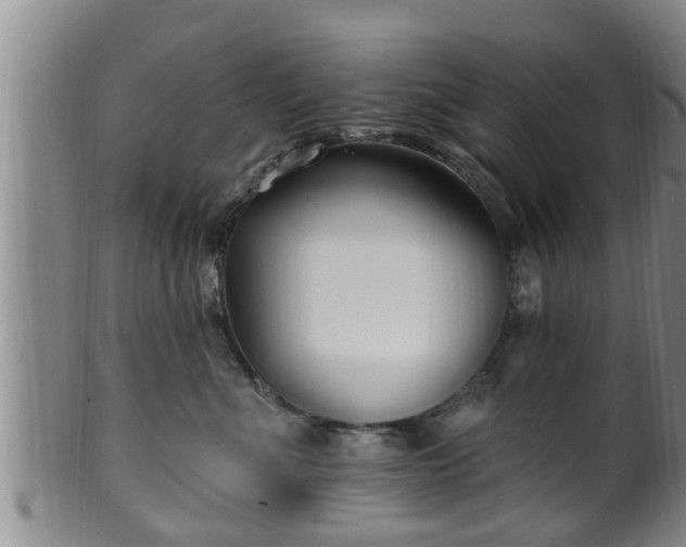 X0000100870523200806271116