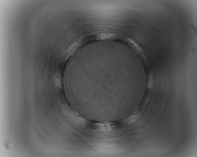 X0000100870524200806271116